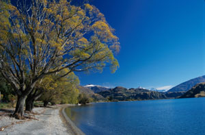 Lake Wanaka